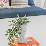 Island Riviera Mykonos * Agios Sostis (Mykonos)